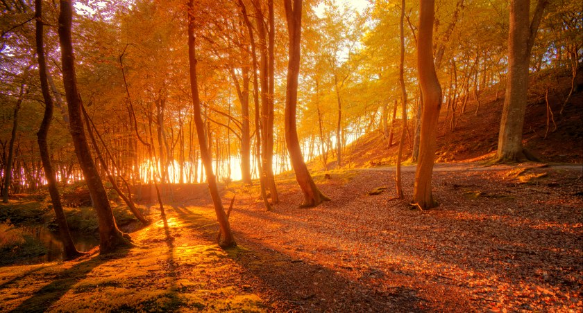 Synoptyczna prognoza pogody na weekend 08-10.09.2023 r.