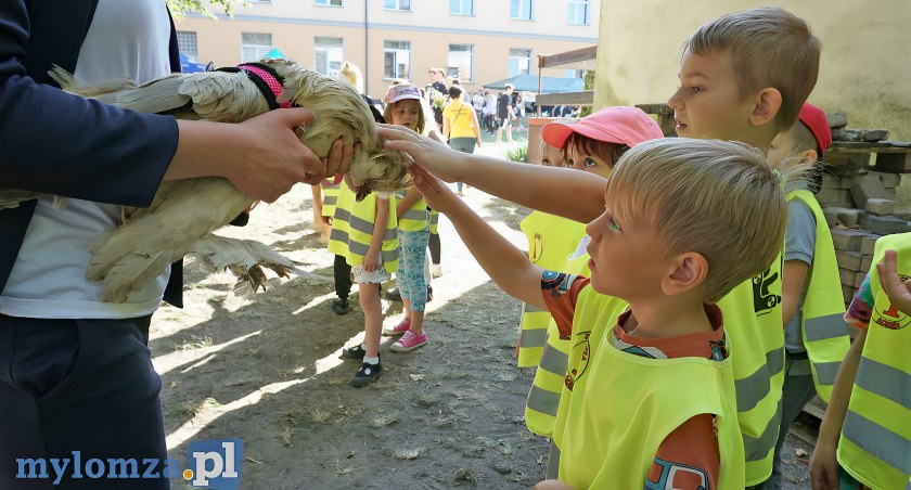Łomża pełna miłości do zwierząt. 17. edycja festynu 