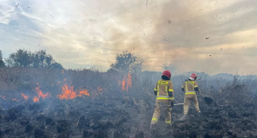 10 hektarów w ogniu. Trwa akcja gaśnicza w Biebrzańskim Parku Narodowym [FOTO] 