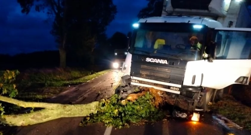 Groźne zdarzenie pod Nowogrodem. Konar spadł na drogę [FOTO]