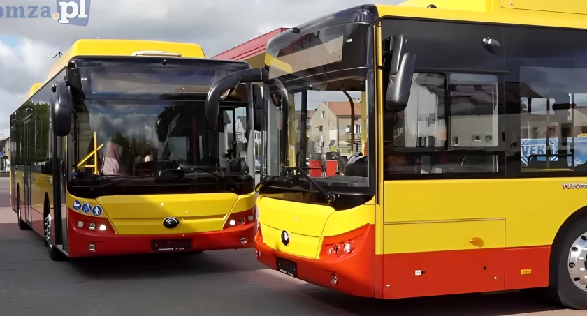 Łomża. Darmowa komunikacja miejska w dniu wyborów