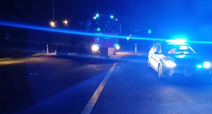 Śmiertelne potrącenie pieszego 