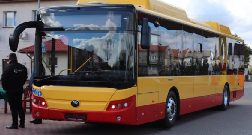 Bezpłatna komunikacja na Wszystkich Świętych 