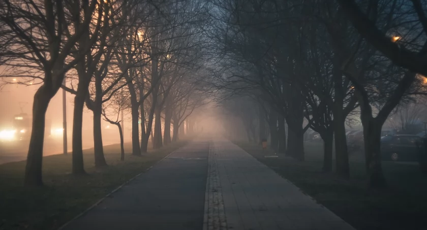 Alert IMGW. Gęsta mgła utrudni jazdę kierowcom 