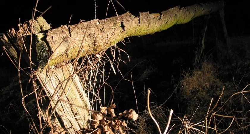 Pijany kierowca ciągnika uszkodził ogrodzenie sąsiadowi