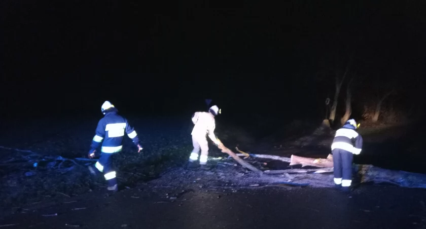 Silny wiatr powalił drzewa w regionie