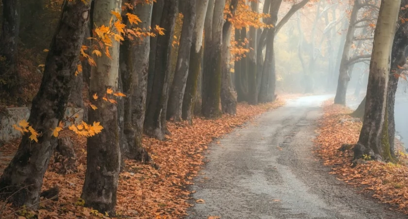 Nowy tydzień przyniesie ochłodzenie