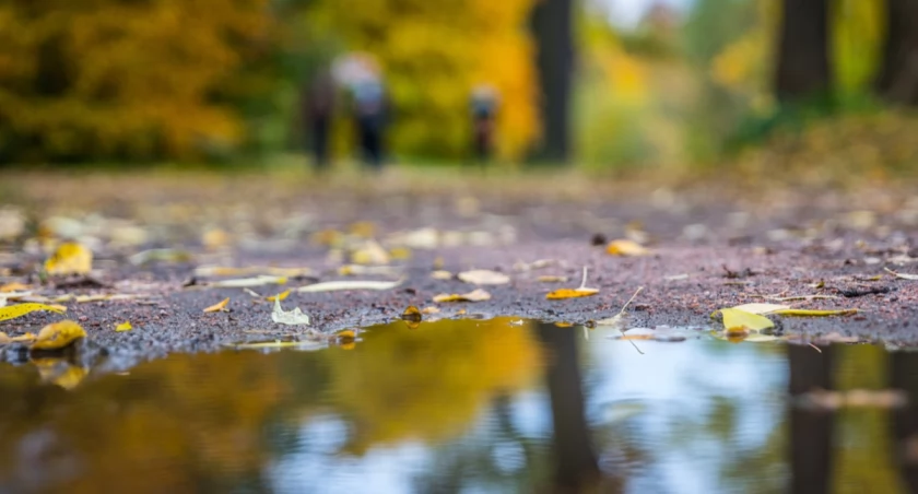 Nowy tydzień przyniesie ochłodzenie i przelotne opady deszczu