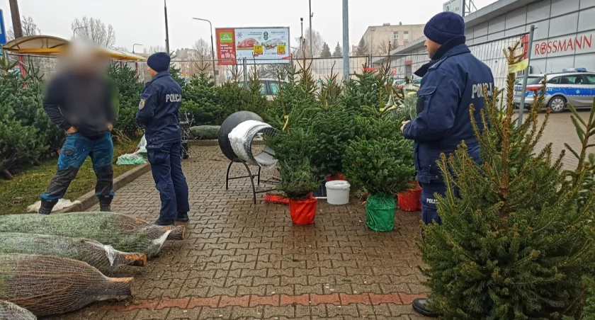 Kontrole choinek w Łomży [FOTO]