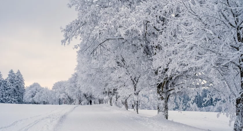 Komunikat meteorologiczny dotyczący intensywnych opadów śniegu