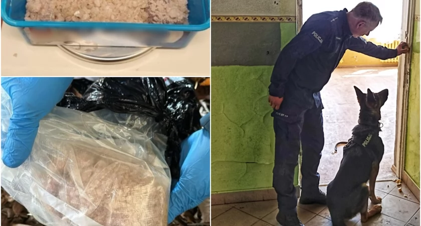 Mieszkaniec gminy Łomża zatrzymany z klefedronem. Kryształy ukrył w zagajniku 