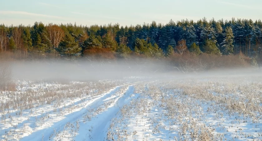 Synoptycy ostrzegają przed gęstą mgłą