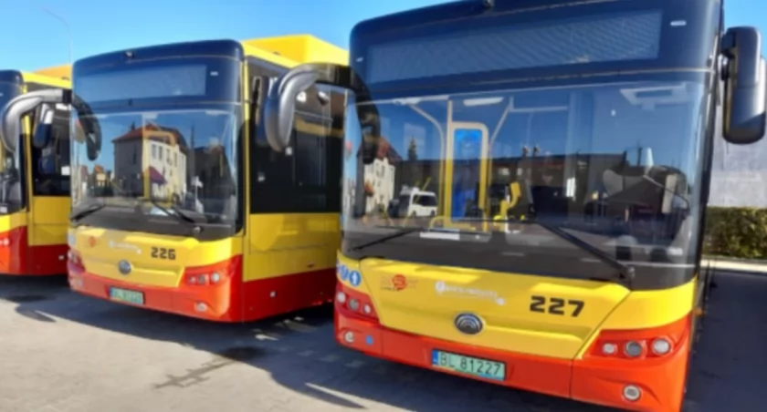 Bezpłatna komunikacja miejska w dniu wyborów