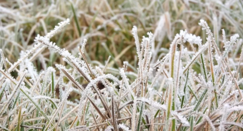 Instytut Meteorologii i Gospodarki Wodnej wydał ostrzeżenia pierwszego stopnia o przymrozkach i oblodzeniu 