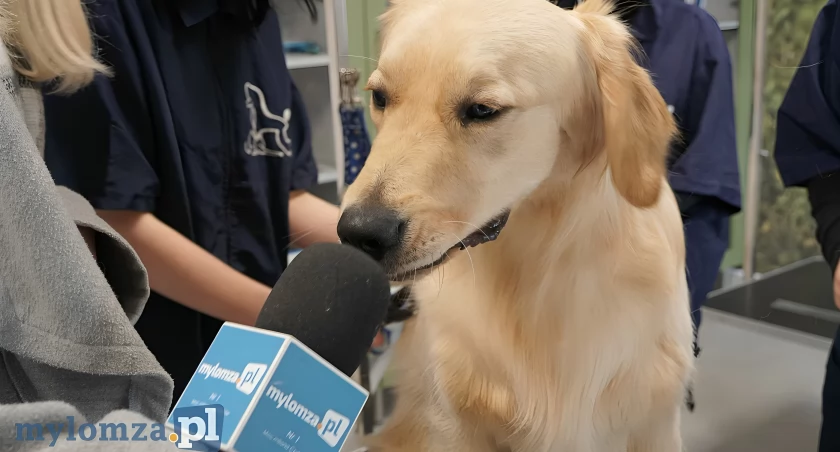 Przyszli uczniowie poznają swoje pasje! Dzień Otwarty w łomżyńskiej Wecie [VIDEO i FOTO]