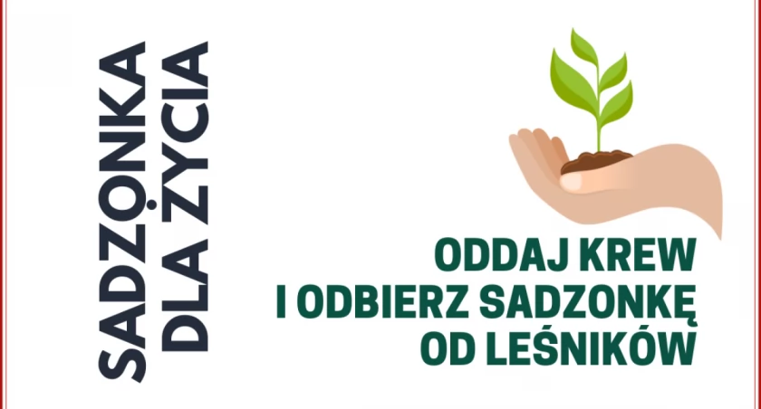 Akcja ,,Sadzonka dla życia w Oddziale Krwiodawstwa w Łomży