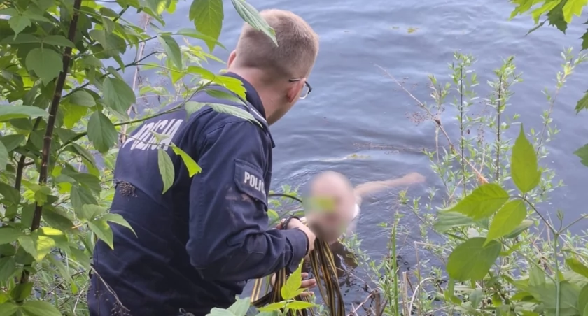 27-latek biegał po ulicy bez ubrań, a później wskoczył do kanału