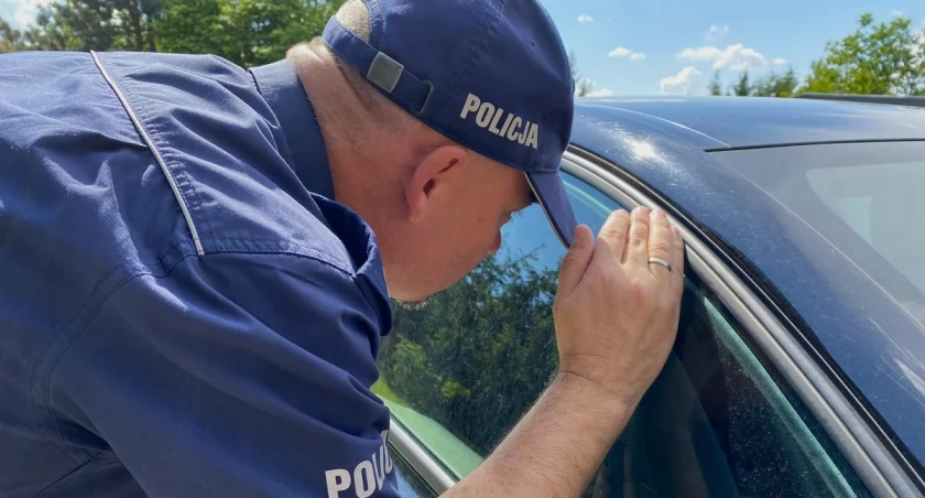 Nie zostawiaj dzieci oraz zwierząt w rozgrzanym samochodzie!