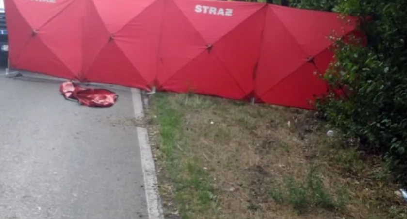 Tragiczny wypadek na drodze wojewódzkiej 647 w Ptakach