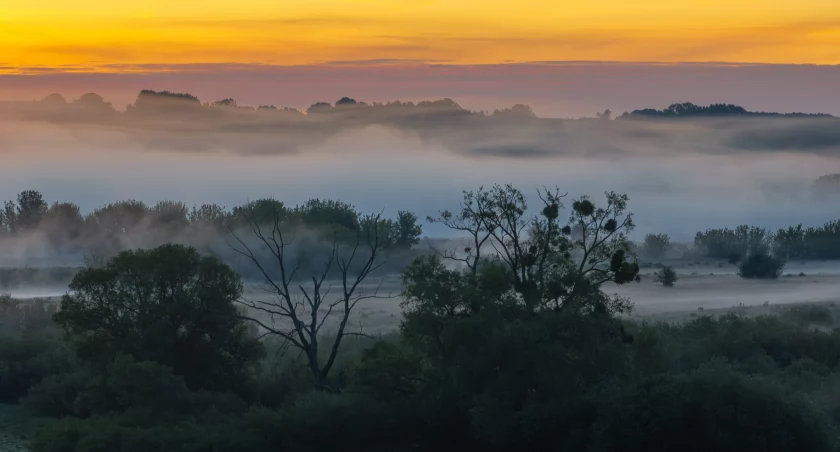 „Wyobraźcie sobie widok Narwi spowitej poranną mgłą…” – Drone Labs znowu zachwyca [VIDEO]