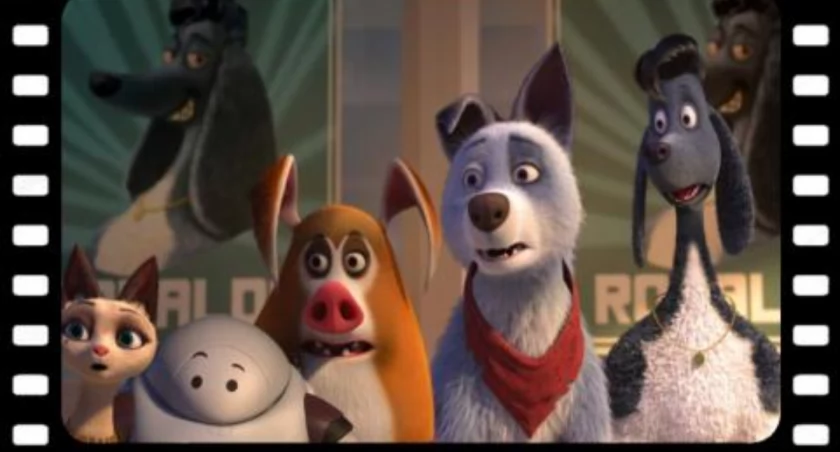 Już niebawem wystartuje kino plenerowe 