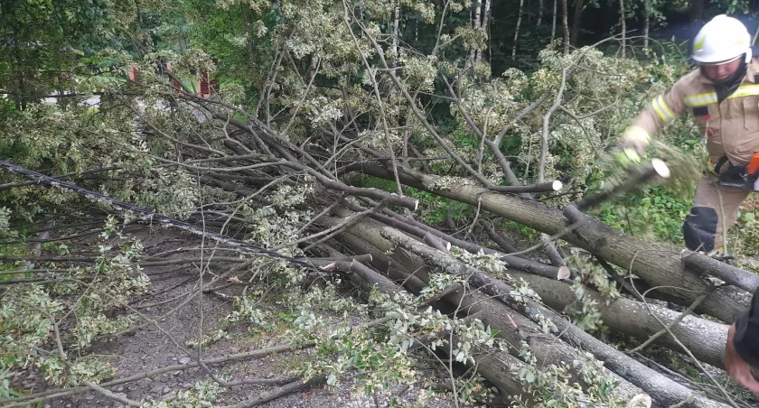 Bez prądu w Jedwabnem i gminie. Interwencje strażaków i pogotowia energetycznego