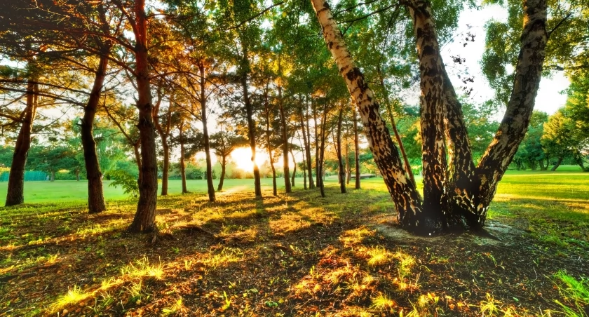 Piękny tydzień z przelotnymi opadami