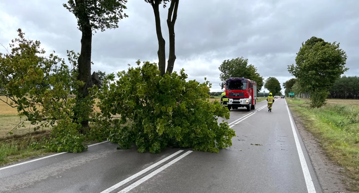 Silne wiatry przeszły przez region [FOTO]