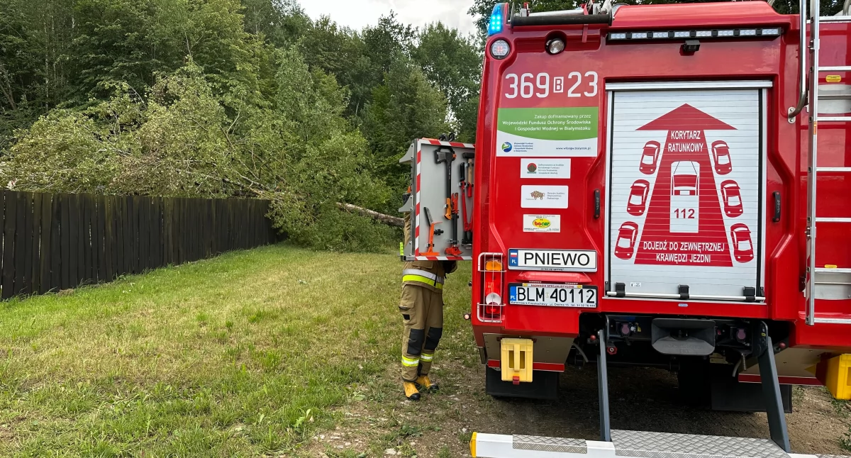 Wiatr zbiera żniwa. Strażacy mają pełne ręce roboty