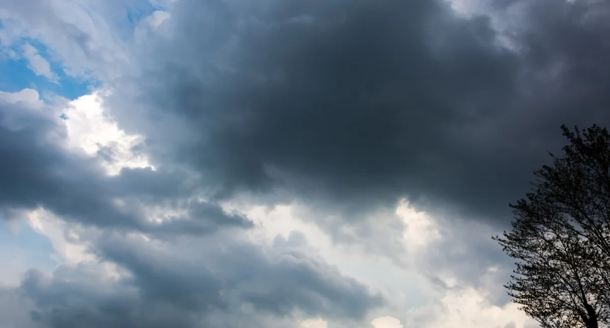Ciepły tydzień z przelotnymi opadami. Pogoda dla Łomży