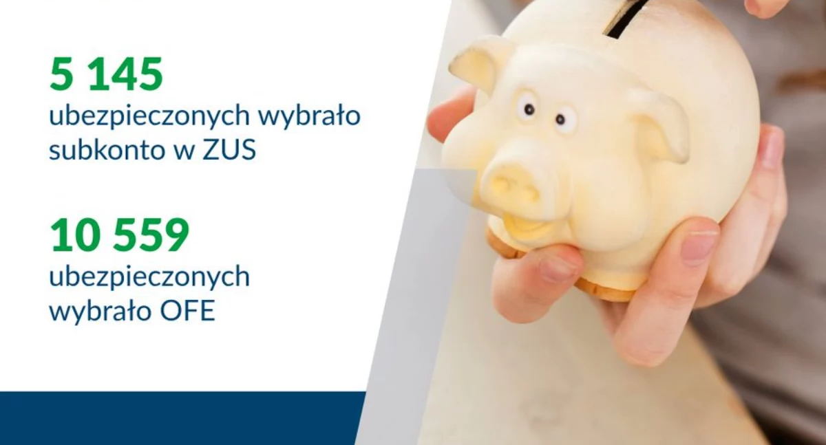 Ubezpieczeni zdecydowali — ZUS czy OFE