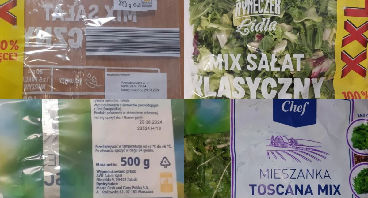 GIS ostrzega. Wykryto bakterie Salmonella w mieszankach sałat