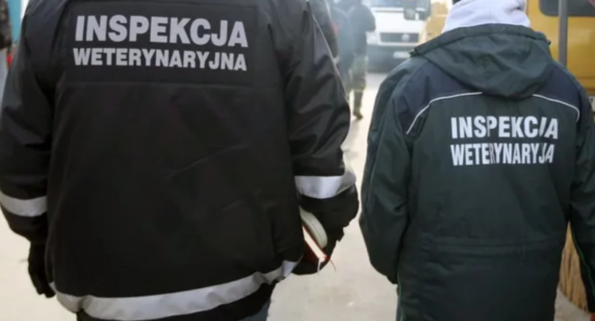 Powiatowy Inspektorat Weterynarii w Łomży szuka pracowników!