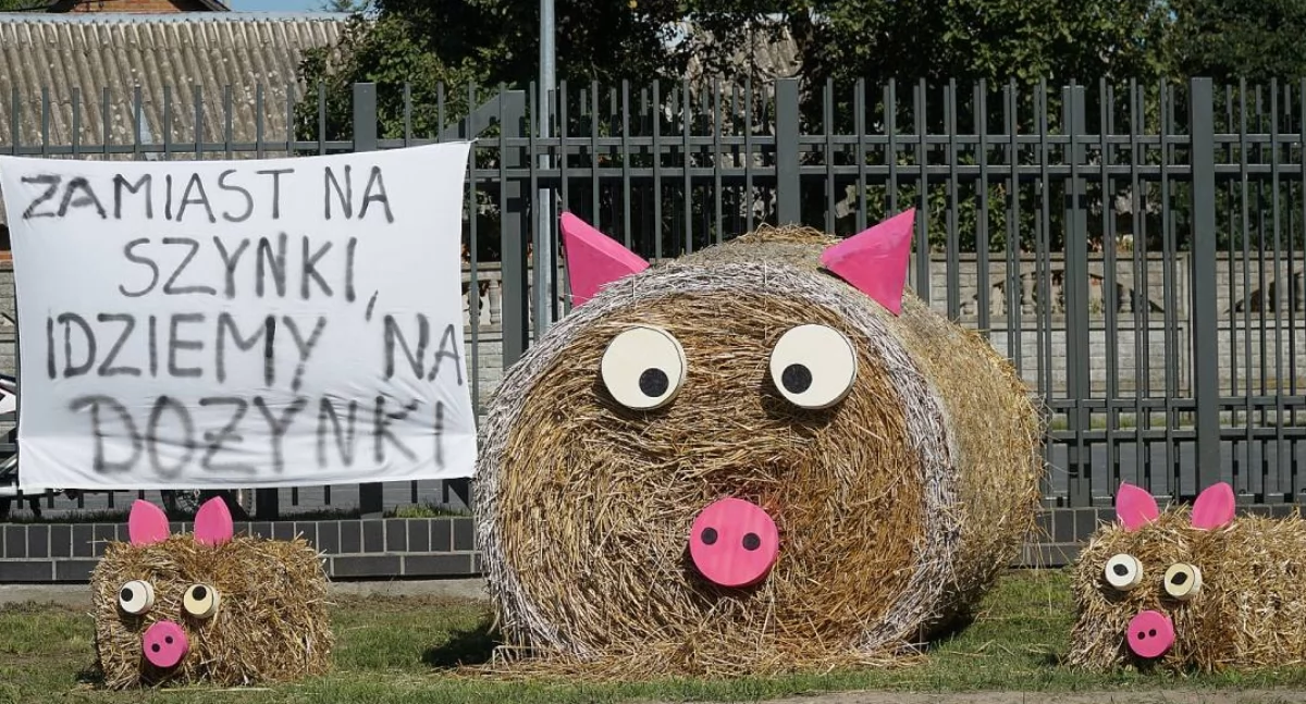 Już niedługo Dożynki Gminno-Parafialne w Małym Płocku