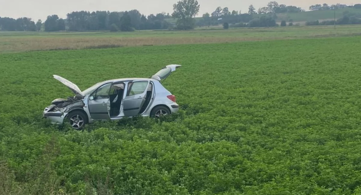 Szablak. Peugeot zakończył jazdę na pobliskiej łące [FOTO]