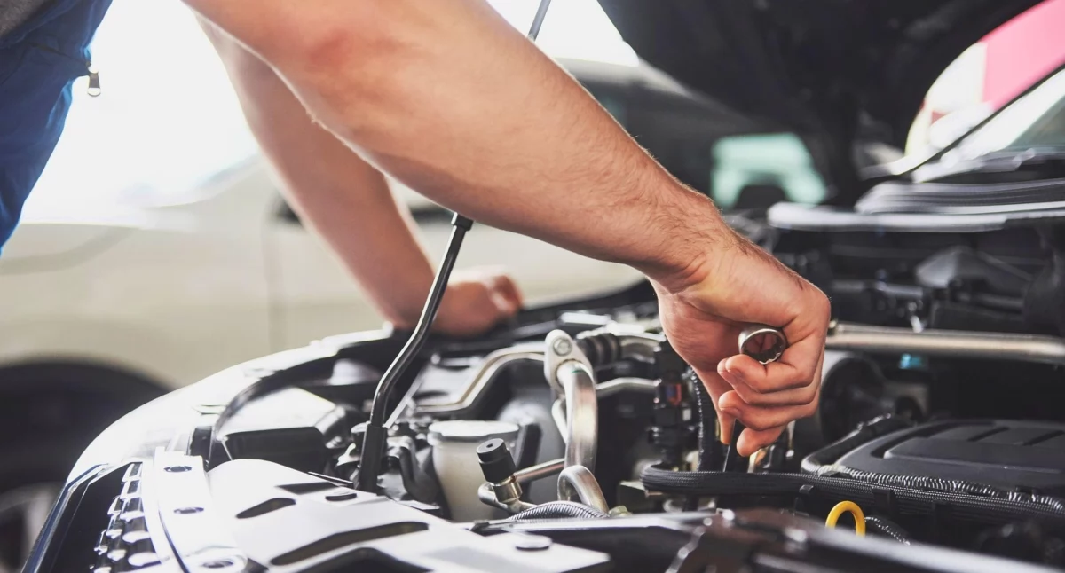 Nauczyciel, kierowca, mechanik. Oferty pracy Powiatowego Urzędu Pracy w Łomży