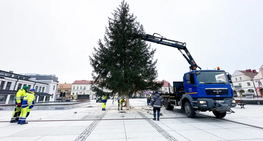 Łomża w świątecznym blasku: Choinka na Starym Rynku i dekoracje w mieście [FOTO]