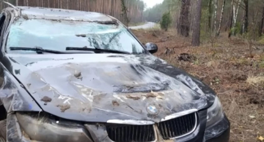 18-latka kupiła auto i wracając nim do domu dachowała