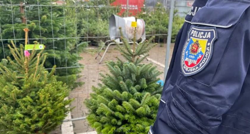Uwaga na kradzieże choinek! Policja w Łomży zaostrza kontrole przed świętami