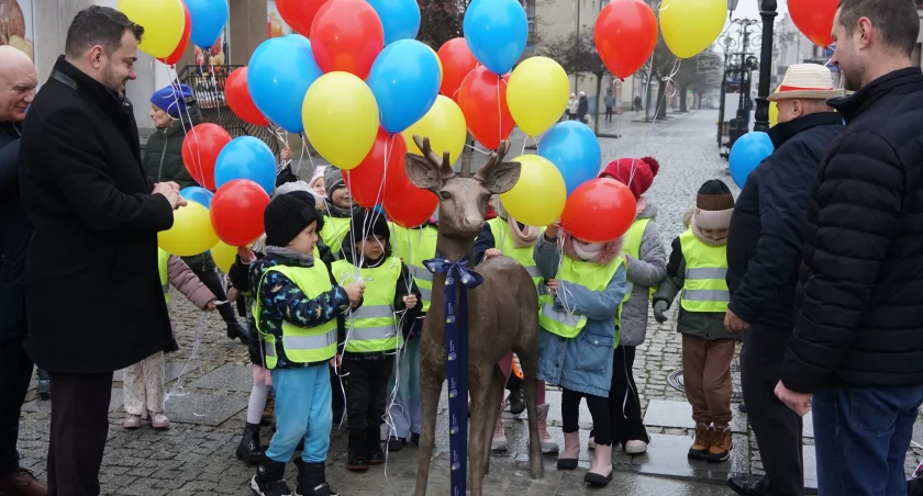Młody jeleń stanął w Łomży. Nowa atrakcja turystyczna miasta [VIDEO i FOTO]