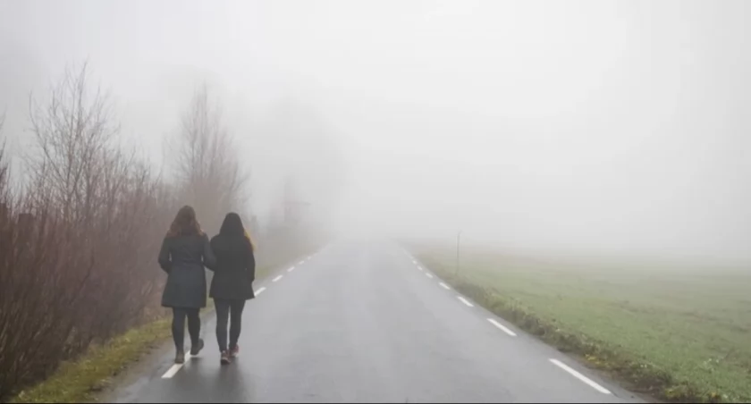 Uwaga na drogach! Gęsta mgła będzie się wciąż utrzymywała