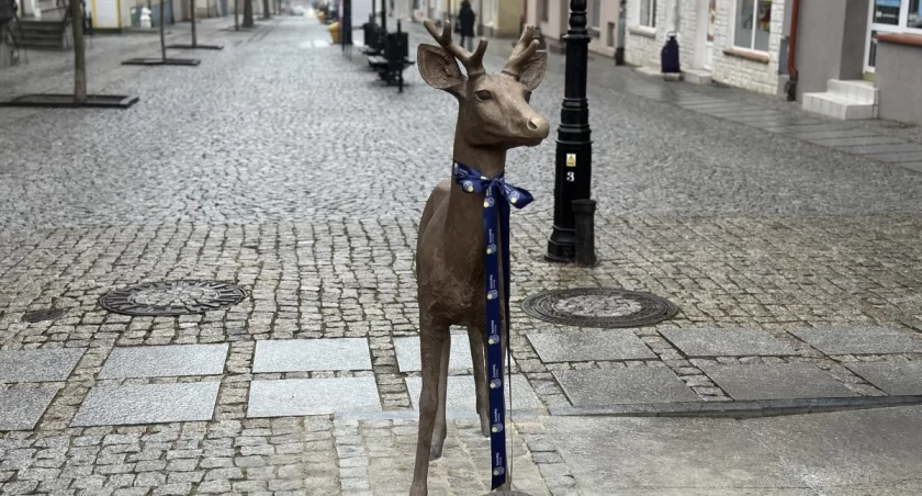 Trwają poszukiwania imienia dla jelonka