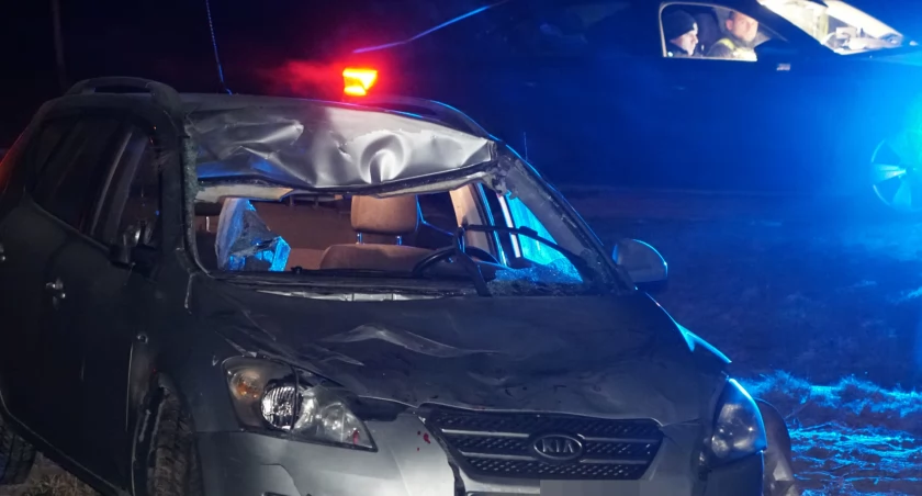 Wypadek na DW 668. Auto wypadło z drogi po zderzeniu z łosiem [FOTO]