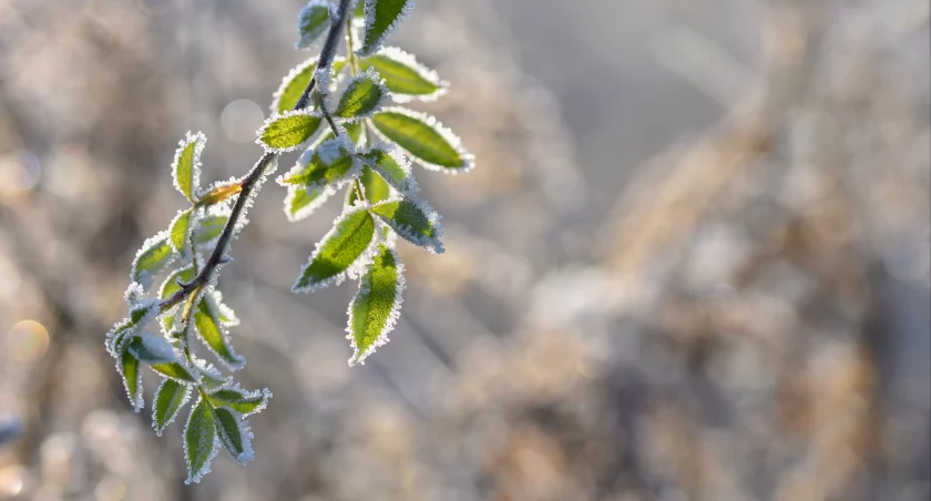 Pod koniec tygodnia przyjdzie ochłodzenie