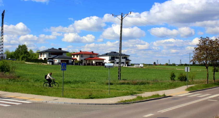 Łomża bardziej zielona