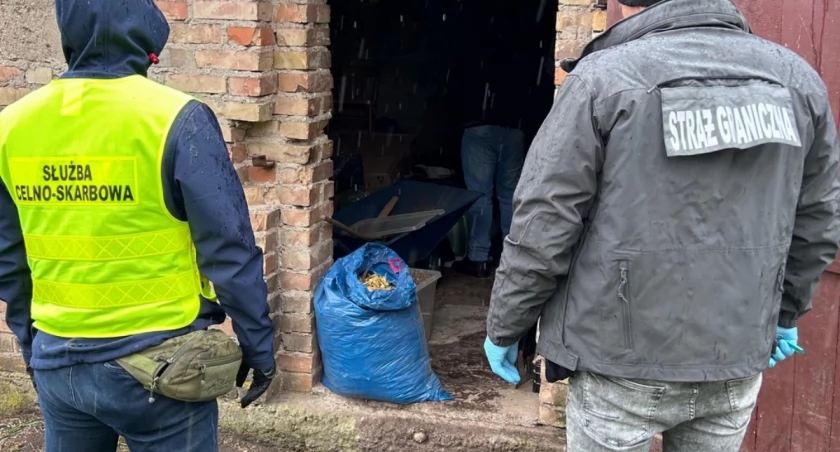 Wpadka w gospodarstwie pod Łomżą. Skarbówka i Straż Graniczna zabezpieczyły nielegalny towar [FOTO]