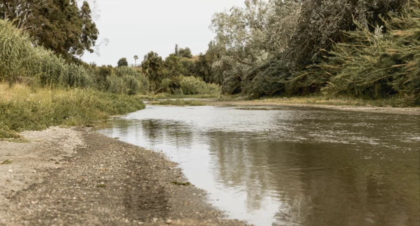 Katastrofalna sytuacja hydrologiczna Narwi 