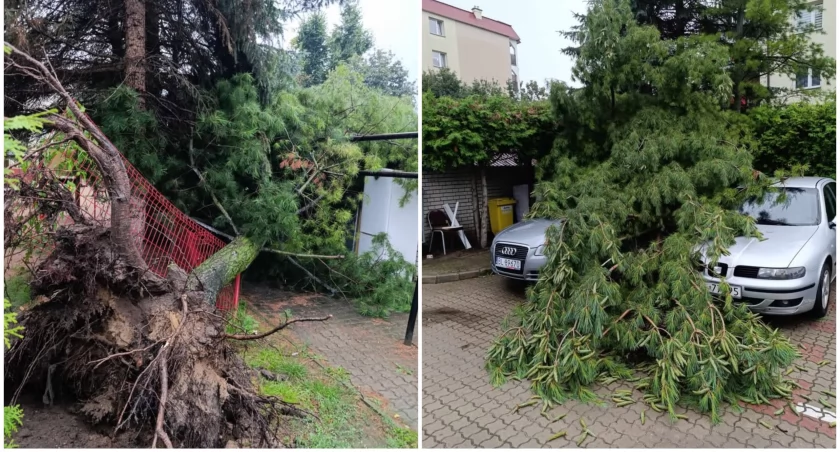 Pracowite popołudnie strażaków [FOTO] 