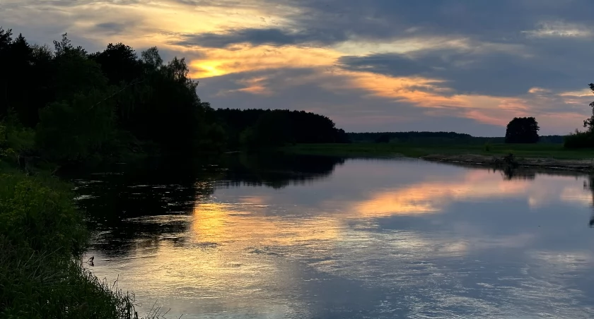 Brudna rzeka, brudna sprawa. Kto odpowie za ścieki w Narwi?