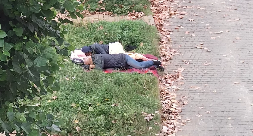 All inclusive w Łomży: leżenie, picie, siusianie